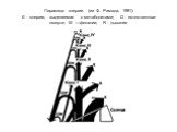 Пирамида энергии (из Ф. Рамада, 1981): Е - энергия, выделяемая с метаболитами; D - естественные смерти; W —фекалии; R - дыхание
