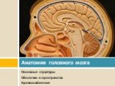 Основные структуры Оболочки и пространства Кровоснабжение. Анатомия головного мозга
