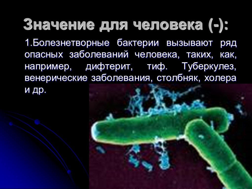 Роль болезнетворных бактерий
