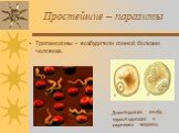 Простейшие – паразиты. Трипаносомы – возбудители сонной болезни человека. Дизентерийная амеба, паразитирующая в кишечнике человека.