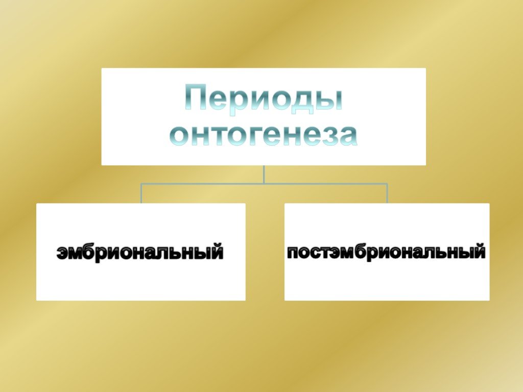 Индивидуальное развитие организма 8 класс презентация