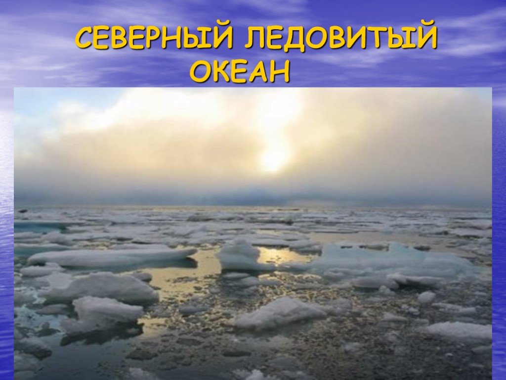 Ледовитый океан температура воздуха