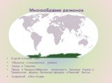 Многообразие регионов. Старый и Новый Свет Ойкумена и неосвоенные регионы Сахара и Гималаи, Памир и Западно-Сибирская низменность Западная Европа и Тропическая Африка, Латинская Америка и Ближний Восток Индокитай и Вест-Индия