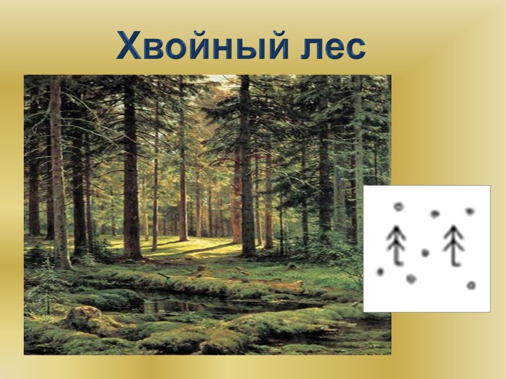 Хвойный лес состоит из. Знак хвойного леса. Обозначение соснового леса. Условный знак хвойного леса. Сосновый лес обозначение.