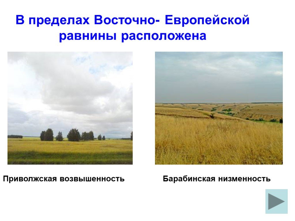 Восточно европейская равнина рельеф. Барабинская низменность расположена. России равнины Барабинская низменность. Приволжская возвышенность. В пределах Восточно европейской равнины возвышенности расположены.