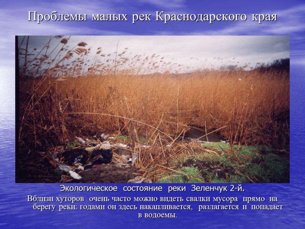 Часто можно видеть. Экологические проблемы малых рек. Экологическое состояние Краснодарского края. Проблемы малых рек. Экологическое состояние реки.