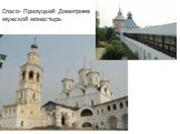 Спасо- Прилуцкий Димитриев мужской монастырь
