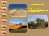 Пустыни Египта. Ливийская, Аравийская, Нубийская пустыни занимают 96% территории Египта.