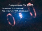 Сверхновая SN 1987A. Созвездие: Золотая Рыба Год открытия: 1987, 23 февраля