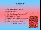 Эритроциты. Красные кровяные тельца; не содержат ядер (только у лягушек и куриц есть ядра в эритроцитах); форма двояковогнутого диска; срок жизни: 120 дней; размер 7 мкм = диаметру сосуда; содержат гемоглобин; норма у женщин 3,7*1012/л у мужчин 4,5- 5*1012/л