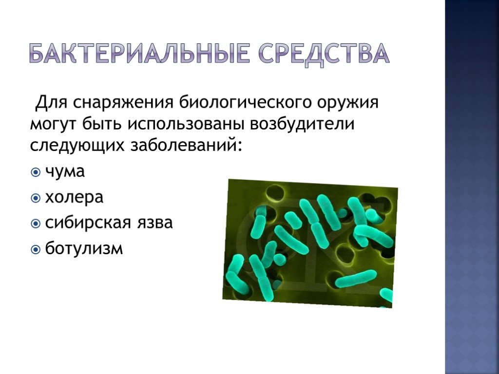 Биологическое оружие тест. Бактериальные средства. Бактериальные средства биологического оружия. Биологические микроорганизмы. Бактерии возбудители заболеваний.