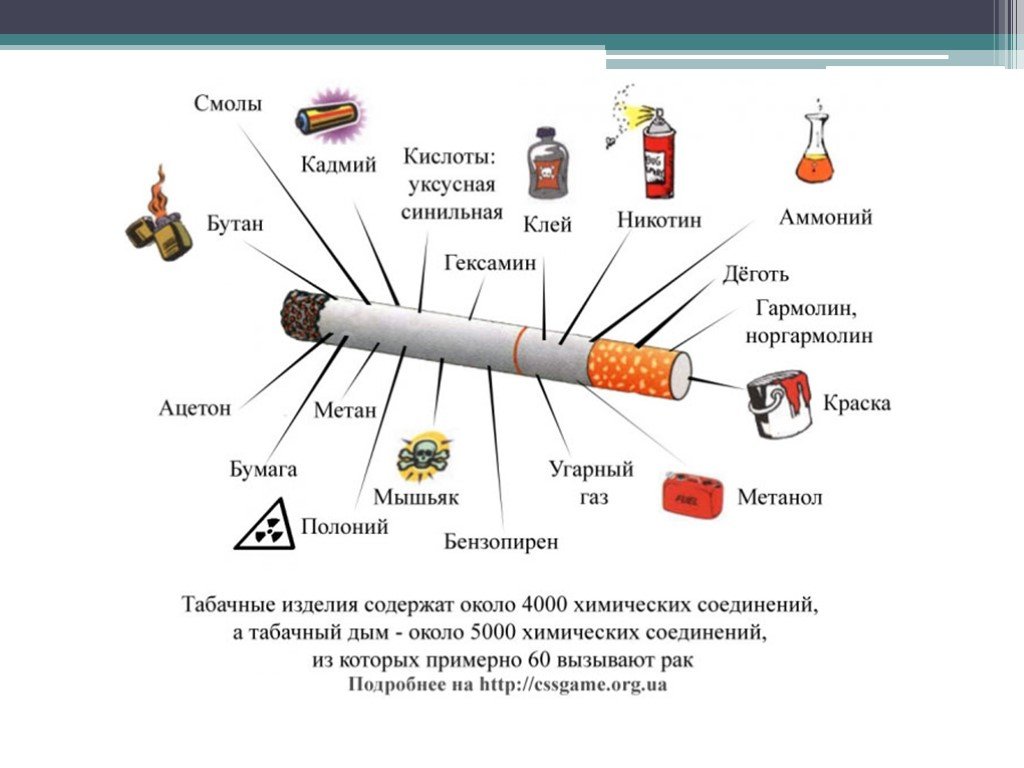 Из чего состоит сигарета. Табакокурение состав табачного дыма. Химический состав сигарет. Вещества в сигарете. Курение состав сигареты.