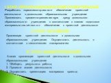 I ЭТАП. ОРГАНИЗАЦИОННО-ПОДГОТОВИТЕЛЬНЫЙ. Разработать нормативно-правовое обеспечение проектной деятельности в дошкольном образовательном учреждении. Организовать предметно-развивающую среду дошкольного образовательного учреждения в соответствии с планом подготовки материально-технического обеспечени