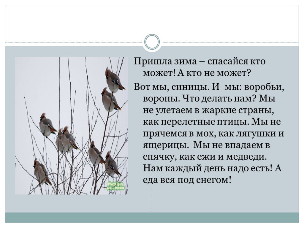 Основная мысль текста каждый знает воробья ворону. Что делает Воробей. Что делают воробьи зимой. Что могут делать птицы. Как зимует Воробей.
