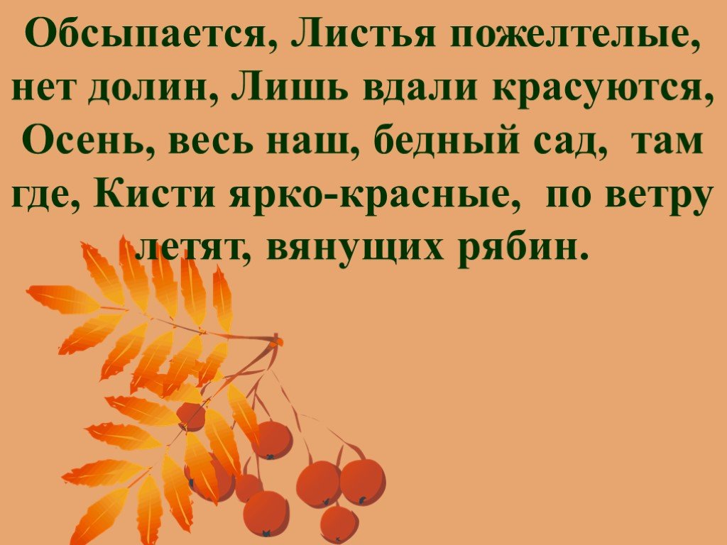 Осень обсыпается весь наш бедный. Очень обсыпается весь наш бедный. Осень обсыпается весь наш. Осень обсыпается. Толстой осень обсыпается весь наш бедный сад.