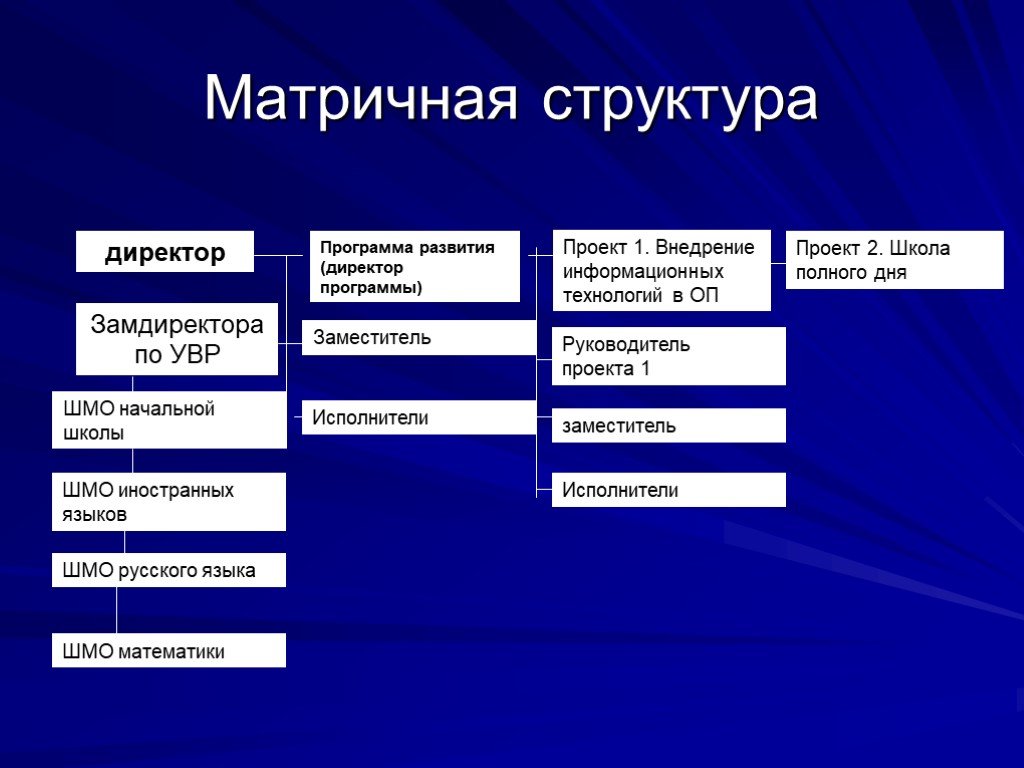 Программы для проекта для школы