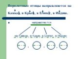 Перелетные птицы направляются на Кавказ, в Крым, в Египет, в Индию. направляются на Кавказ, в Крым, в Египет, в Индию