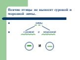 Певчие птицы не выносят суровой и морозной зимы. зимы суровой и морозной. и