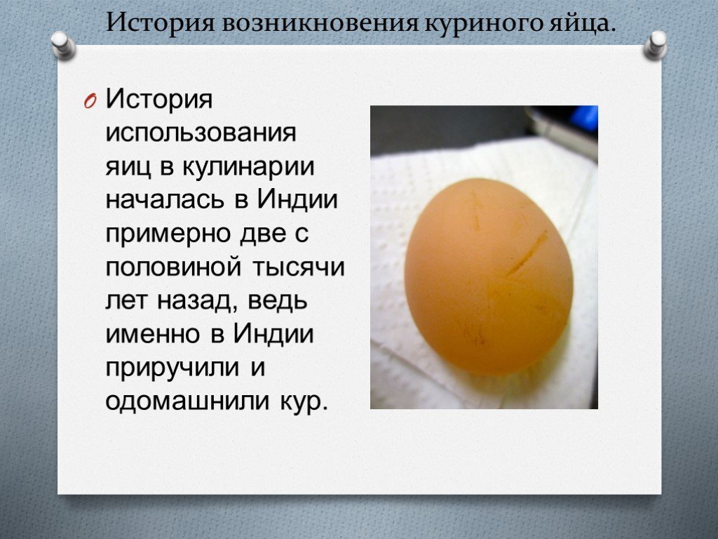Куриное яйцо тест. Интересные факты о яйцах куриных. Яйца для презентации. Сообщение о курином яйце. Куриное яйцо презентация.
