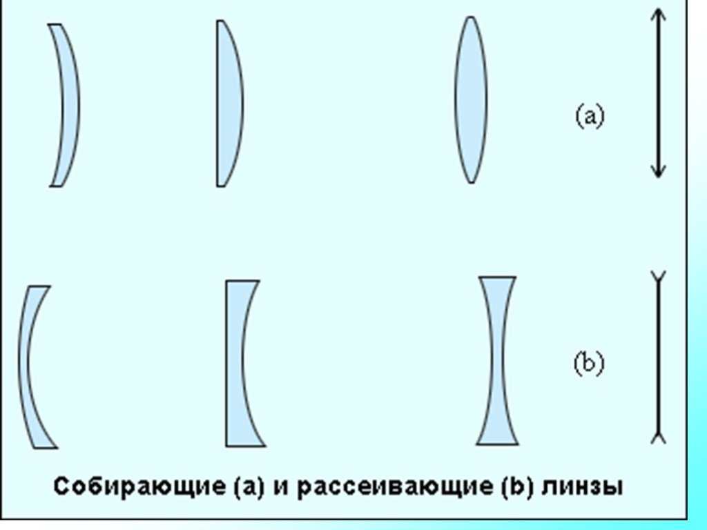 Какие из представленных на рисунке линз являются собирающими физика 8 класс