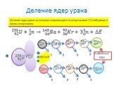 Деление ядер урана. Деление ядра урана на осколки сопровождается испусканием 2-3 нейтронов и гамма излучением