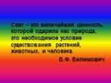 Свет – это величайшая ценность, которой одарила нас природа, это необходимое условие существования растений, животных, и человека. Б.Ф. Билимович