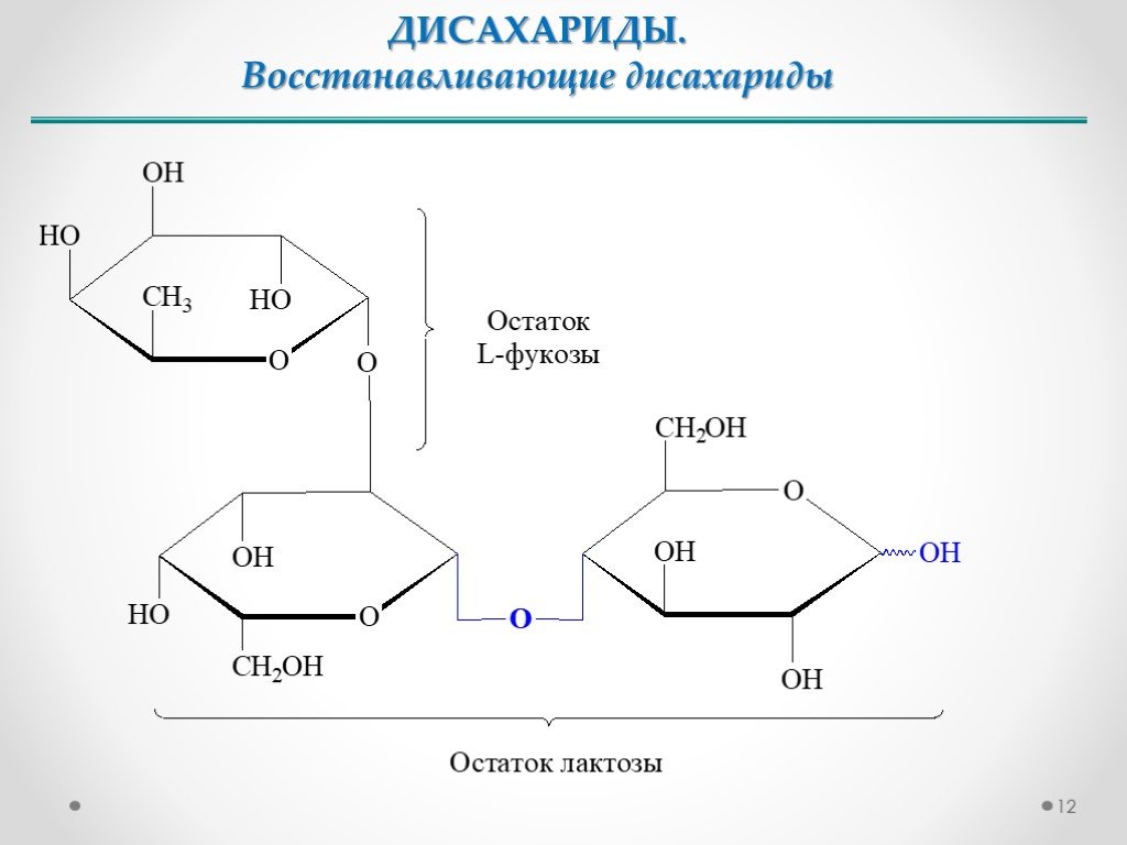 Дисахариды и полисахариды 10 класс химия презентация