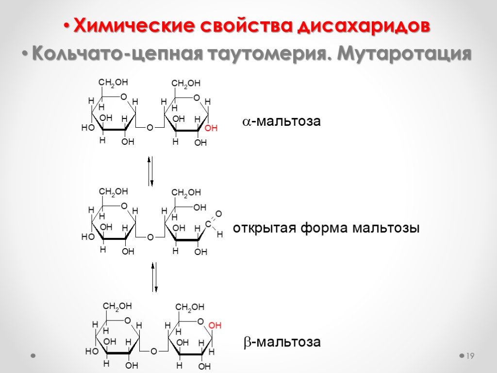 Схема образования дисахаридов