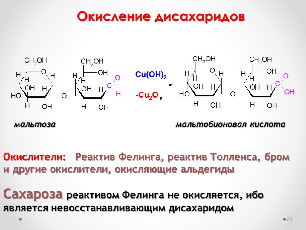 Презентация по химии 10 класс полисахариды