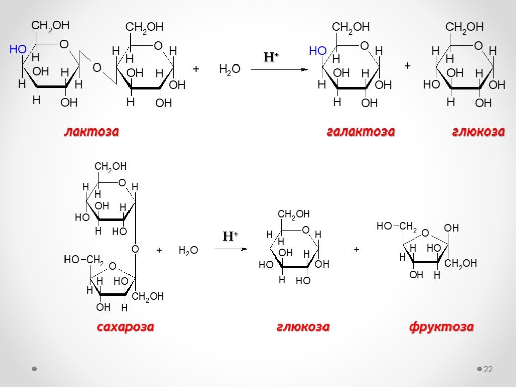 Глюкоза фруктоза сахароза формулы. Фруктоза лактоза сахароза.