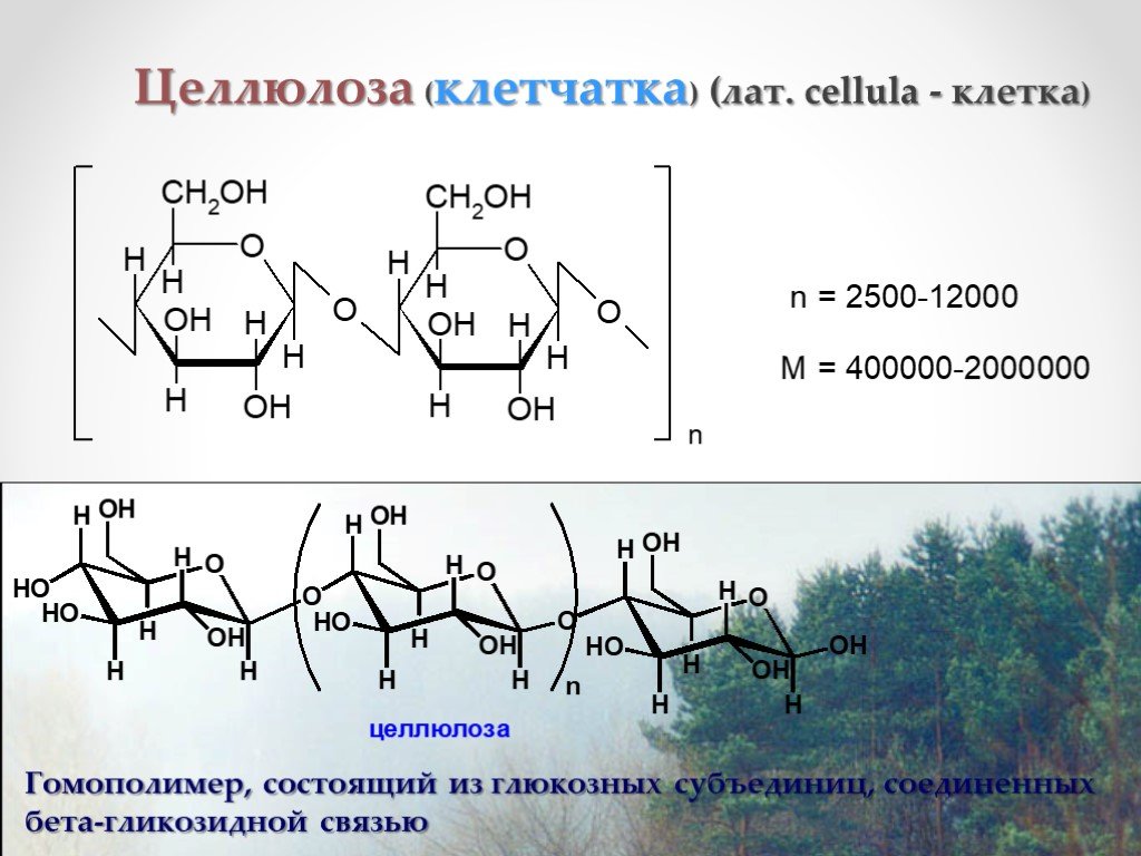 Целлюлоза презентация по химии