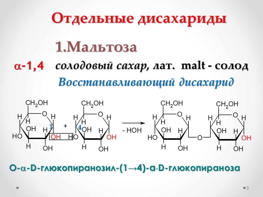 Образуют отдельную. Мальтоза a-d-глюкопиранозил (1-4). Отдельные представители дисахаридов. Мальтоза восстанавливающий дисахарид. Α-D-глюкопиранозил-(1→4)-α-d-глюкопираноза.