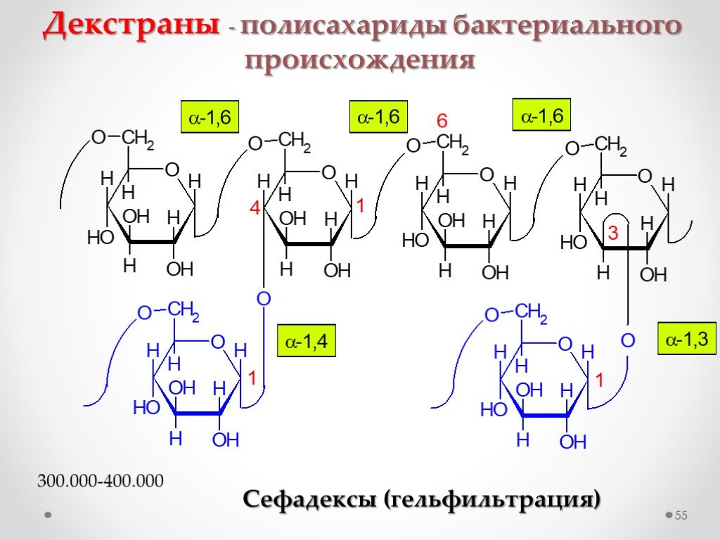 Презентация по химии 10 класс полисахариды