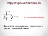 Структура дисахаридов. Два остатка моносахаридов связаны друг с другом гликозидной связью.