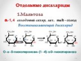 О-a-D-глюкопиранозил-(1→4)-α-D-глюкопираноза. Отдельные дисахариды. 1.Мальтоза солодовый сахар, лат. malt - солод Восстанавливающий дисахарид. a-1,4 1 4