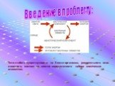 Введение в проблему: Тело любого существующего на Земле организма, растительного или животного, состоит из вполне определенного набора химических элементов.