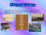 Микроэлементы. Микроэлементами называются элементы, содержание которых в организме мало, но они участвуют в биохимических процессах и необходимы живым организмам. Бром Железо Йод Кобальт Марганец Медь Молибден Селен Фтор Хром Цинк. йод фтор цинк