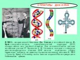 СТРУКТУРЫ ДНК И РНК. В 1953 г. американский биохимик Дж. Уотсон и английский физик Ф. Крик построили модель пространственной структуры ДНК; которая имеет вид двойной спирали. Она соответствовала данным английских ученых Р. Франклин и М. Уилкинса, которые с помощью рентгеноструктурного анализа ДНК см