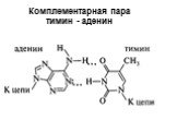 Комплементарная пара тимин - аденин