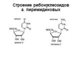 Строение рибонуклеозидов а. пиримидиновых