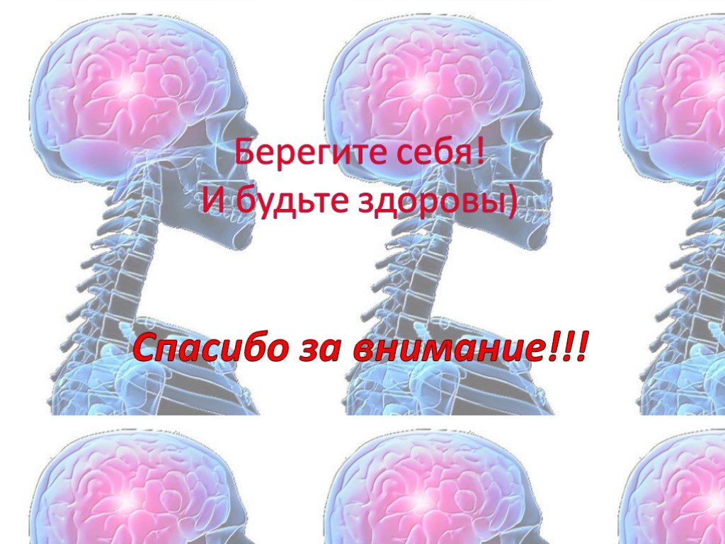 Спасибо за внимание анатомия для презентации