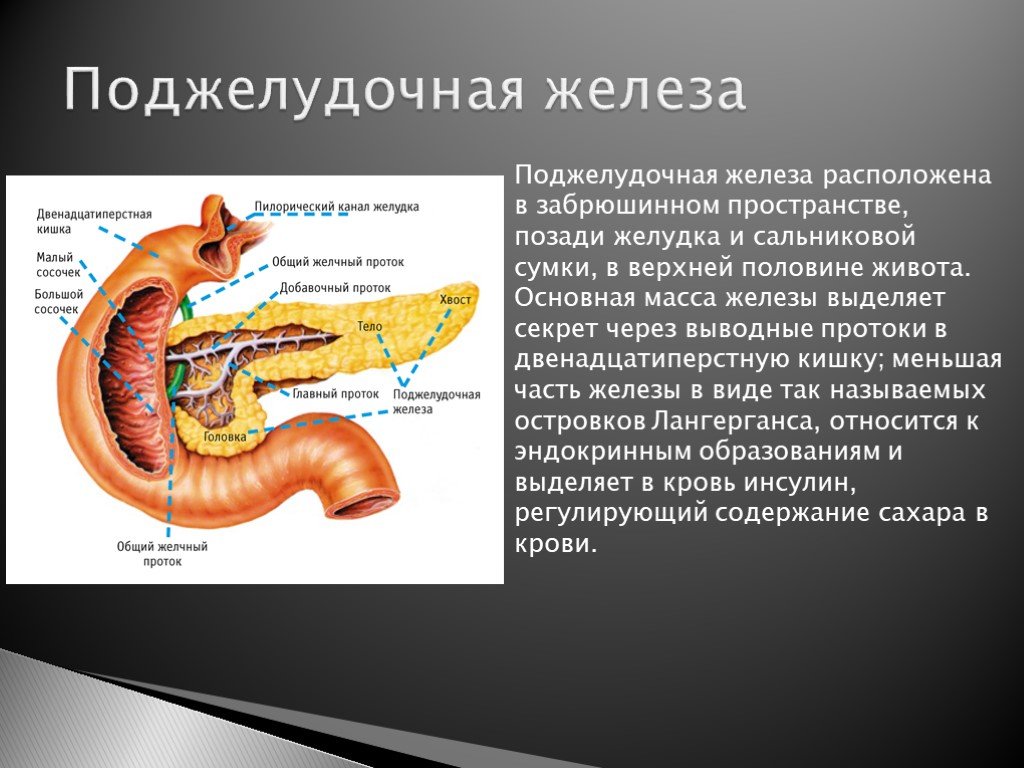 Анализ печень и поджелудочная железа. Сальниковая сумка поджелудочной железы. Поджелудочная железа расположена в забрюшинном пространстве. Анатомия поджелудочной железы и сальниковой сумки. Анатомия желудок и поджелудочная.