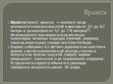 Яранга. Яра́нга (чукот. яран’ы) — шатер в виде усеченного конуса высотой в центре от 3,5 до 4,7 метра и диаметром от 5,7 до 7-8 метров[1]. Используется как переносное жилище некоторых кочевых народов (чукчей, коряков, эвенов, юкагиров) северо-востока Сибири. Каркас собирают из лёгких деревянных шест