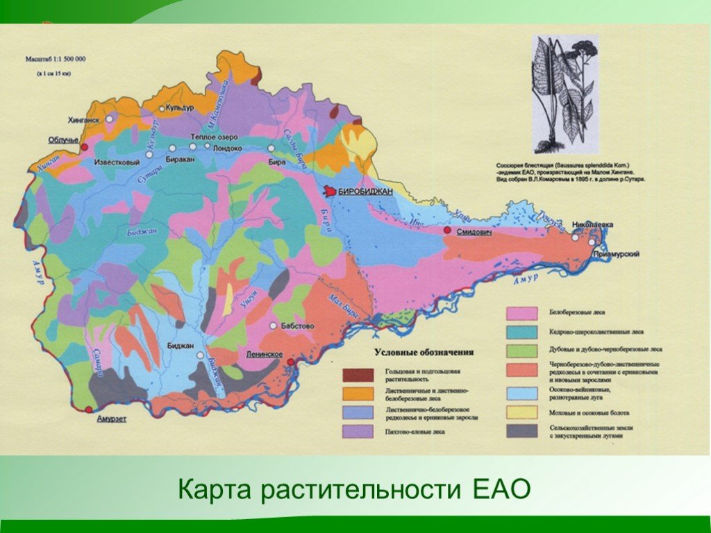 Европейская автономная область. Полезные ископаемые ЕАО карта. Почвенная карта ЕАО. Карта растительности ЕАО. Еврейская автономная область на карте.