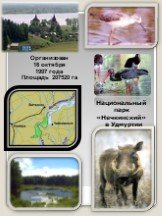 Национальный парк «Нечкинский» в Удмуртии. Организован 16 октября 1997 года Площадь 207520 га