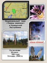 Организован 20 июня 1993 года Площадь 25200 га. Национальный парк «Чаваш вармане» в Чувашской Республике