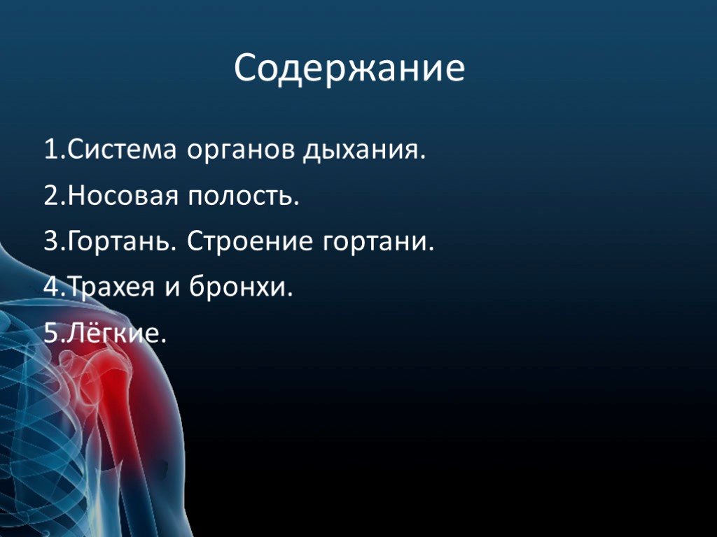 Легкое содержание. Трахея носовая полость функции строение. Горло 4 класс доклад. 1. Органом дыхания не является. 9 Дыханий.