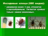 Иксодовые клещи (680 видов): размером около 2 мм, относятся к паукообразным. Питаются кровью только самки насекомых.