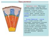 Проводящие ткани. Обеспечивают транспорт веществ в растении. Одна группа проводящих тканей обеспечивает проведение в основном воды и минеральных солей и называется ксилема, другая – проводит раствор органических веществ и называется флоэма. Ксилема (древесина) – сложная ткань, которая включает в себ