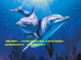 Афалины - самая известная и популярная разновидность дельфиновых.
